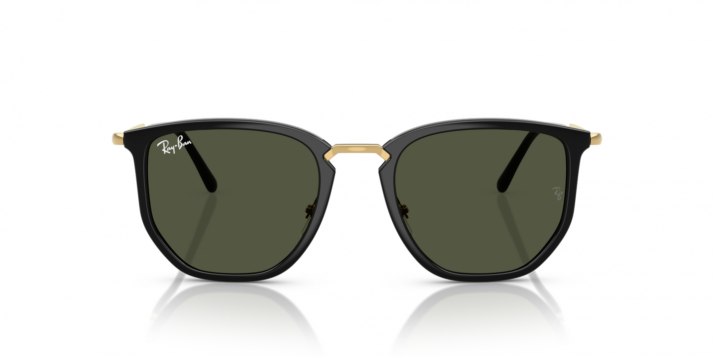 Ray-Ban RB4451 630631.