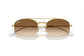 Ray-Ban RB3719 001/51.
