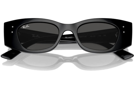 Ray-Ban Kat RB4427 667787.