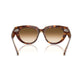 RAY-BAN RB2286 - 141451