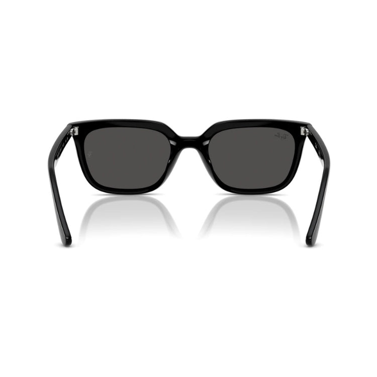 Ray-Ban RB 4439D 901/87