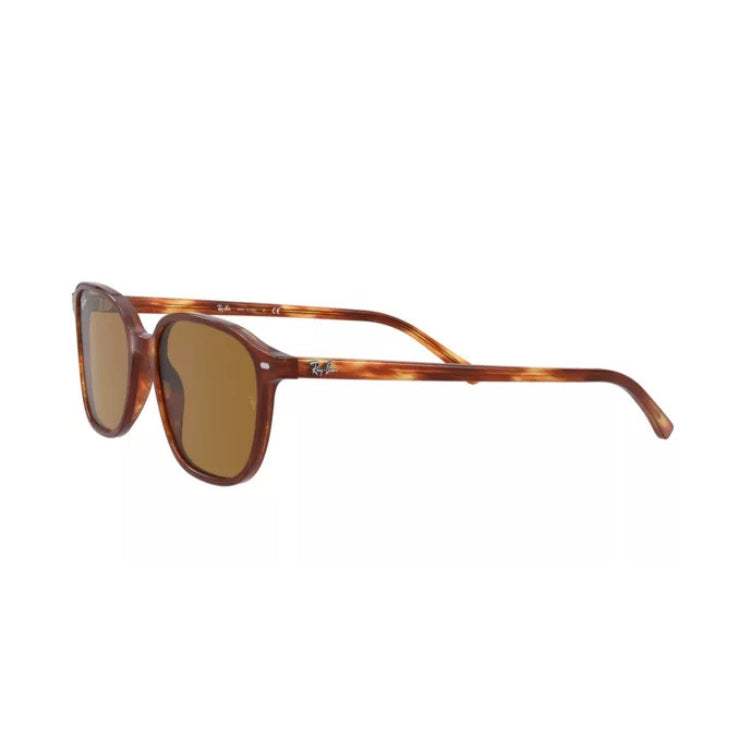 Ray-Ban RB 2193 954/33