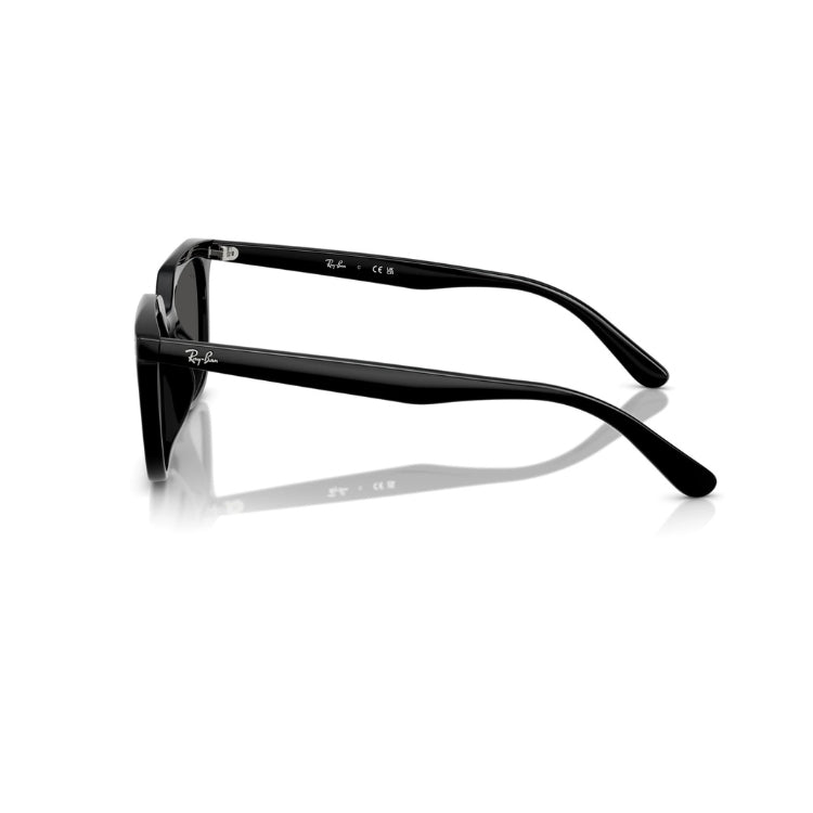 Ray-Ban RB 4439D 901/87