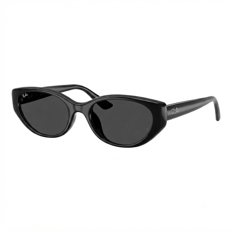 RAY-BAN Ochelari de Soare RB4457D 6677/87