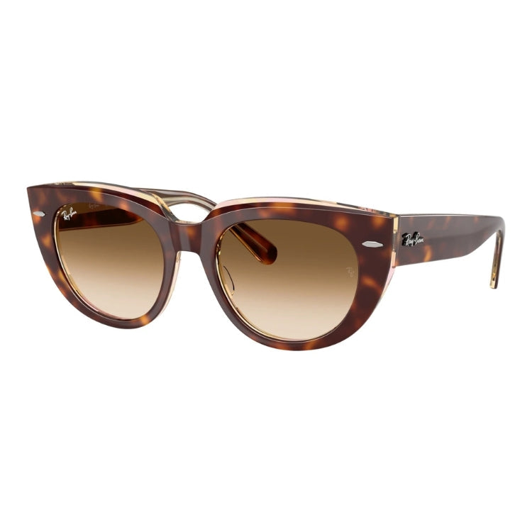 RAY-BAN RB2286 - 141451