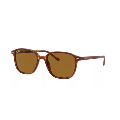 Ray-Ban RB 2193 954/33