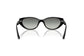 Ray-Ban RB4457D 667711.