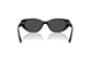Ray-Ban RB4457D 667787.