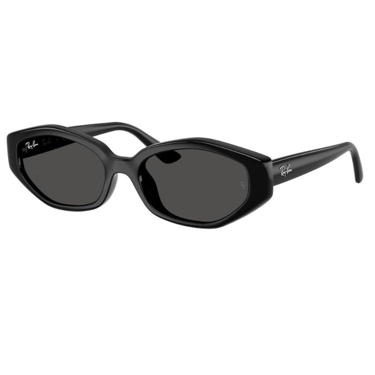 RAY-BAN Ochelari de Soare RB4473D 6677/87