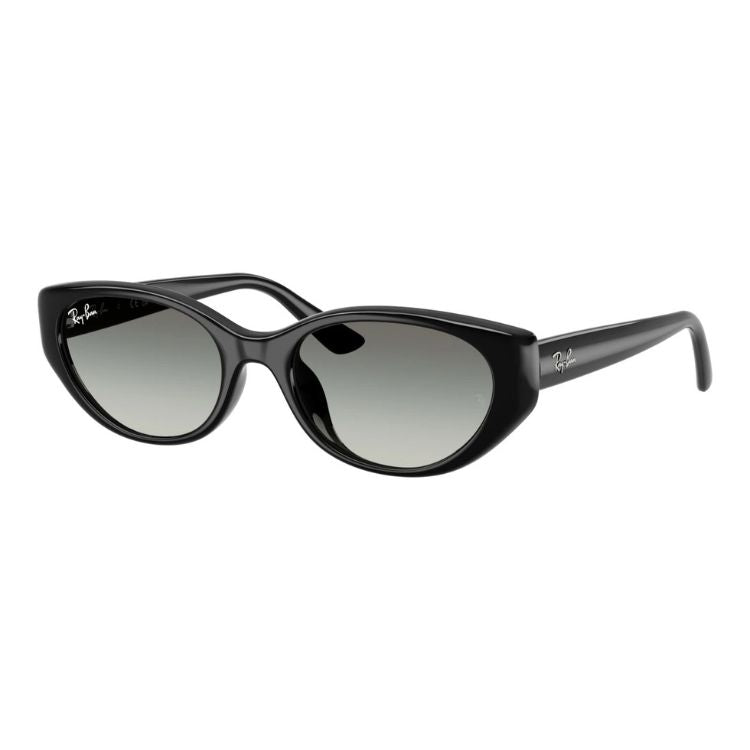 RAY-BAN Ochelari de Soare RB4457D 6677/11