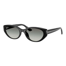 RAY-BAN Ochelari de Soare RB4457D 6677/11