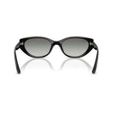 RAY-BAN Ochelari de Soare RB4457D 6677/11