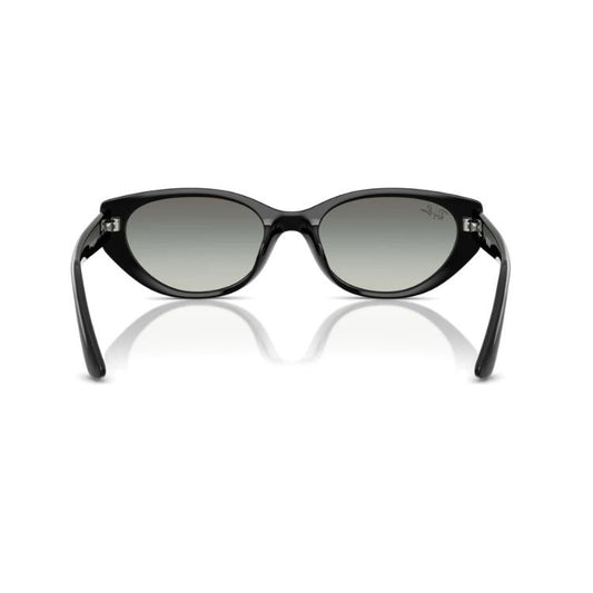 RAY-BAN Ochelari de Soare RB4457D 6677/11