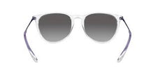 Ray-Ban Erika Classic RB4171 6516/11.